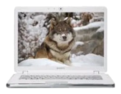 Ремонт VAIO VGN-AR520E/B в сервисном центре sony-fixmaster
